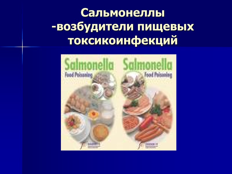 Сальмонеллы -возбудители пищевых токсикоинфекций